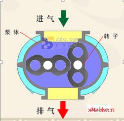 干式真空泵和罗茨真空泵的优缺点分析