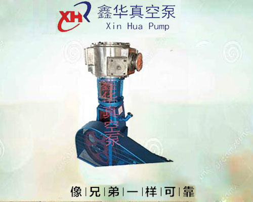 不锈钢真空泵WLW-100